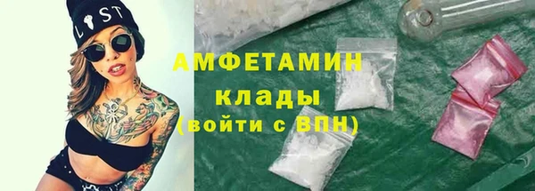 ГАЛЛЮЦИНОГЕННЫЕ ГРИБЫ Гусь-Хрустальный