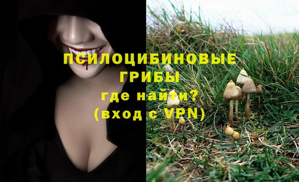 ГАЛЛЮЦИНОГЕННЫЕ ГРИБЫ Гусь-Хрустальный