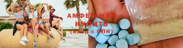 ГАЛЛЮЦИНОГЕННЫЕ ГРИБЫ Гусь-Хрустальный