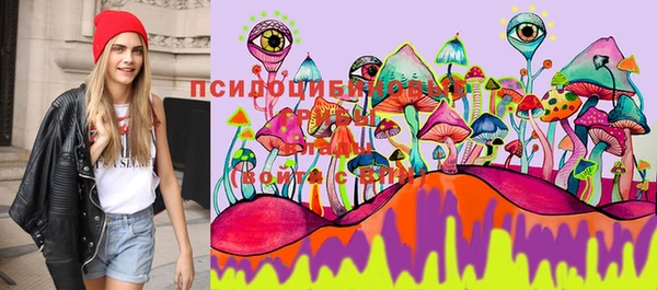 гашиш Гусев