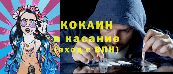ГАЛЛЮЦИНОГЕННЫЕ ГРИБЫ Гусь-Хрустальный