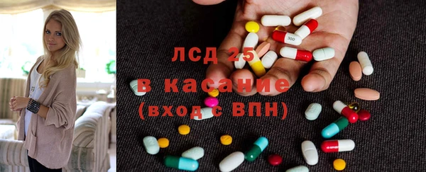 ГАЛЛЮЦИНОГЕННЫЕ ГРИБЫ Гусь-Хрустальный