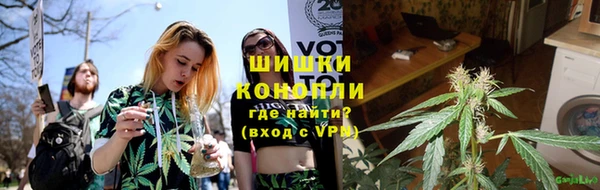 ГАЛЛЮЦИНОГЕННЫЕ ГРИБЫ Гусь-Хрустальный