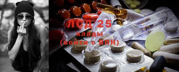 ГАЛЛЮЦИНОГЕННЫЕ ГРИБЫ Гусь-Хрустальный