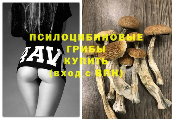 МДПВ Гусиноозёрск