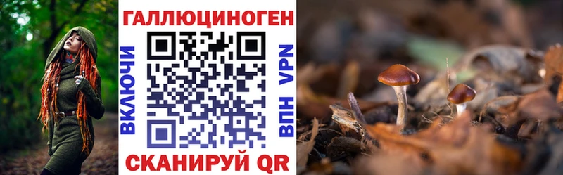 Галлюциногенные грибы мухоморы Шатура